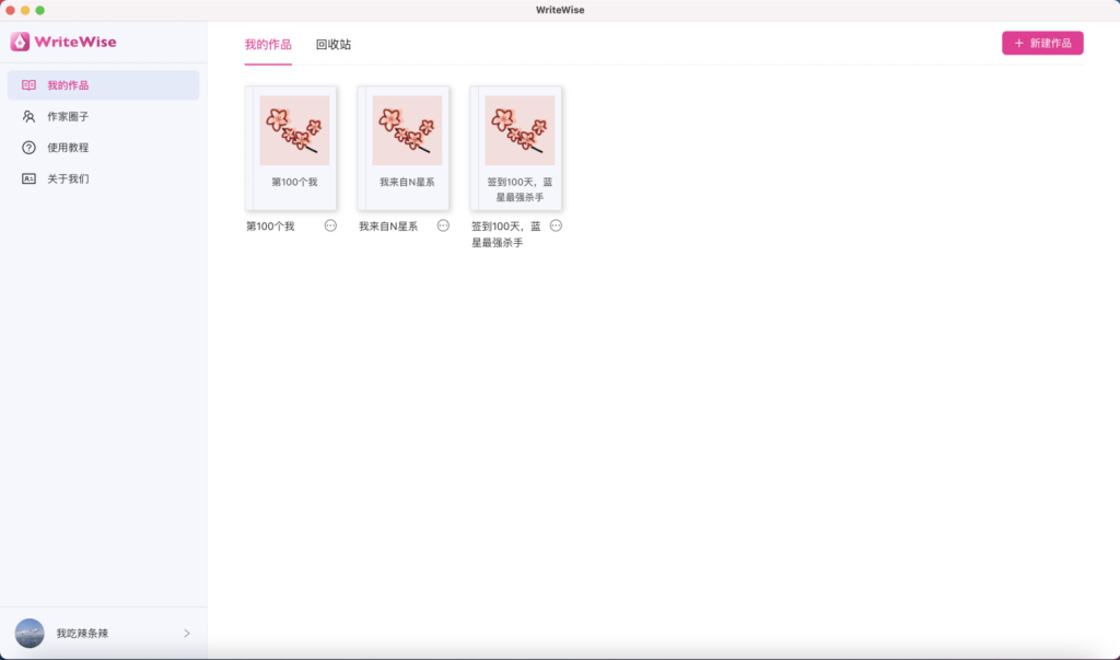 WriteWise最强小说Ai自动写作工具，内置Ai模型-星辰解忧工作室