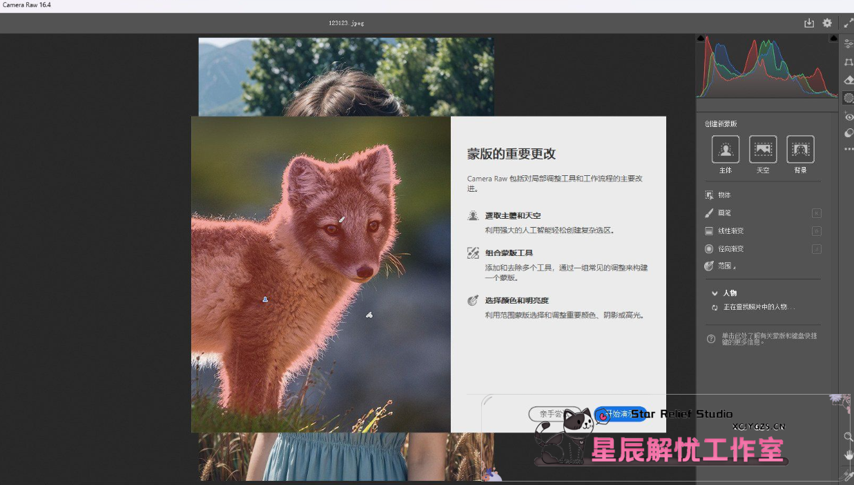 Adobe Camera Raw：一款功能强大的免费图像处理工具-星辰解忧工作室